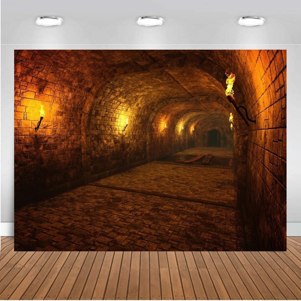 Décors de jeu de tunnel de don - Photography Dark Cloth avis et prix