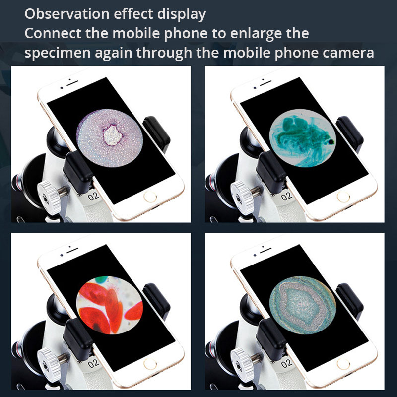Microscope optique professionn - Photography University avis et prix